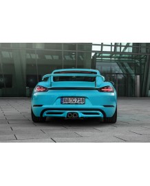 Becquet arrière II TECHART Porsche 718 Cayman + S + GTS (2016+)