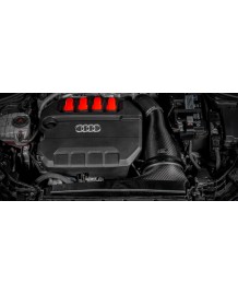 Admission Carbone EVENTURI pour AUDI S3 8Y / TTS 8S