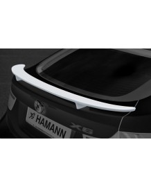 Becquet de Coffre HAMANN BMW X6 + X6M (E71)(Small)