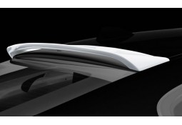 Becquet de Toit HAMANN BMW X6 + X6M (E71)