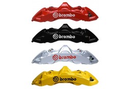 Kit Gros freins GT BREMBO Audi RS3 8V Sportback (2015-2020)