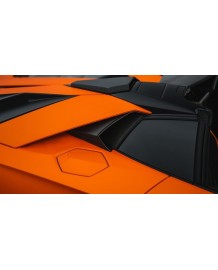 Prises d'air de vitres Carbone NOVITEC Lamborghini Aventador SVJ  + ULTIMAE