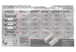 Echappement CARGRAPHIC Porsche Boxster GTS & Spyder / Cayman GT4 4,0l (718/982) (2019+) - Silencieux à valves Touring