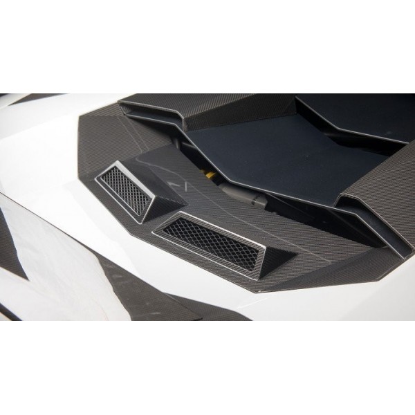 Ventilation moteur Carbone NOVITEC Lamborghini Aventador ULTIMAE