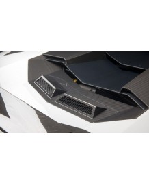 Ventilation moteur Carbone NOVITEC Lamborghini Aventador ULTIMAE