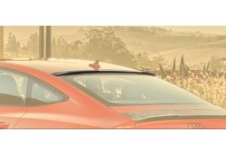 Becquet de toit Carbone MANSORY AUDI RS7 Sportback C8 (2020+)