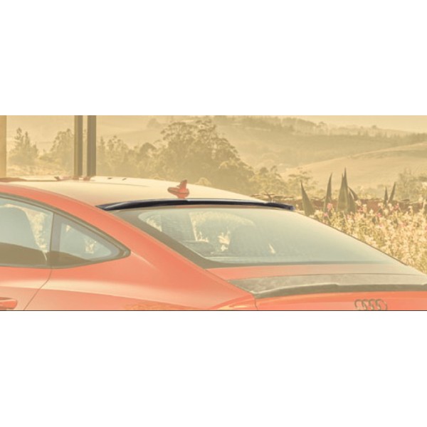 Becquet de toit Carbone MANSORY AUDI RS7 Sportback C8 (2020+)