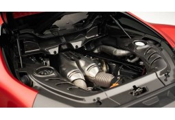Caches compartiment moteur Carbone NOVITEC Ferrari 296