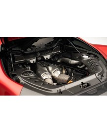 Caches compartiment moteur Carbone NOVITEC Ferrari 296