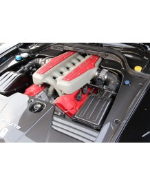 Caches de filtre à air Carbone SFORZA pour FERRARI 599 GTB