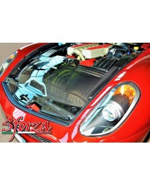 Cache moteur Carbone SFORZA pour FERRARI 599 GTB