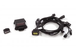 Boitier Anti-erreur Filtres à particules FAP pour AUDI RSQ8 4M (2023+)(XPF Emulator)