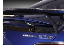 Aileron RSR PIECHA pour Mercedes AMG GT GTS Coupé C190 (2015-2021)