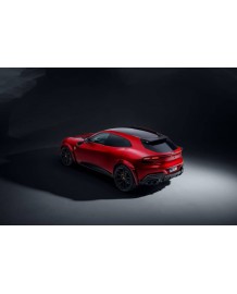 Kit carrosserie ESTESO WIDEBODY carbone NOVITEC pour FERRARI PUROSANGUE (Version Full)