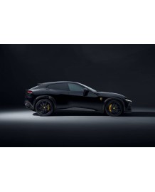 Extensions d'ailes carbone ESTESO WIDEBODY NOVITEC pour FERRARI PUROSANGUE
