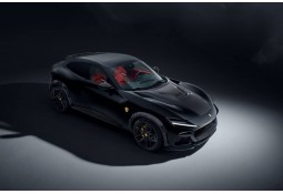 Extensions d'ailes carbone ESTESO WIDEBODY NOVITEC pour FERRARI PUROSANGUE
