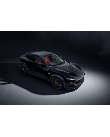 Extensions d'ailes carbone ESTESO WIDEBODY NOVITEC pour FERRARI PUROSANGUE