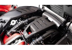 Caches compartiment moteur Carbone NOVITEC pour FERRARI PUROSANGUE
