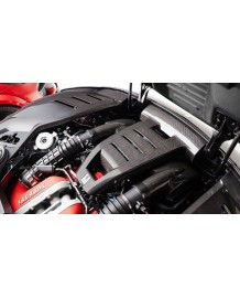 Caches compartiment moteur Carbone NOVITEC pour FERRARI PUROSANGUE