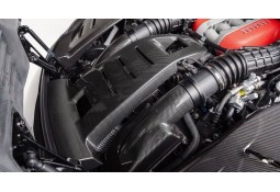 Couvercles de boites à air Carbone NOVITEC pour FERRARI PUROSANGUE