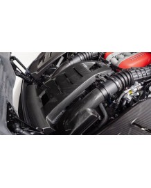 Couvercles de boites à air Carbone NOVITEC pour FERRARI PUROSANGUE