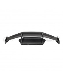 Aileron Carbone CT CARBON pour LAMBORGHINI Huracan LP610 LP580 (2014-2017) / EVO (2019-2023)