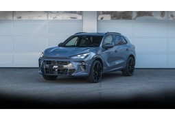 Pack Jantes ABT GR21 8.5x21" pour CUPRA TERRAMAR
