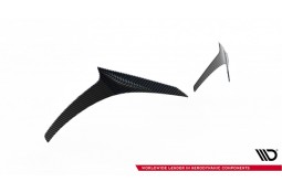 Kit carrosserie Carbone pour MERCEDES AMG GT63 GT55 AMG C192 (Maxton Design)