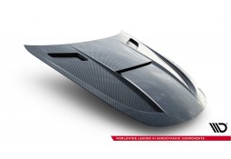 Kit carrosserie Carbone pour MERCEDES AMG GT63 GT55 AMG C192 (Maxton Design)