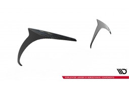 Kit carrosserie Carbone pour MERCEDES AMG GT63 GT55 AMG C192 (Maxton Design)