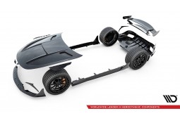 Kit carrosserie Carbone pour MERCEDES AMG GT63 GT55 AMG C192 (Maxton Design)