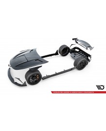 Kit carrosserie Carbone pour MERCEDES AMG GT63 GT55 AMG C192 (Maxton Design)