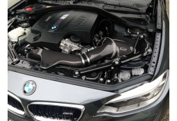 Admission Carbone GruppeM pour BMW M2 F87 (2016-2018)