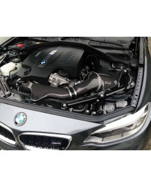Admission Carbone GruppeM pour BMW M2 F87 (2016-2018)