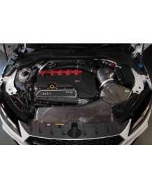 Admission Carbone GruppeM pour AUDI TTRS 8S 2.5 TFSI 400Ch (2017-2022)