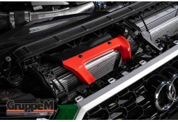Admission Carbone GruppeM pour AUDI RS4 RS5 B9 F5 2.9T (2017+)