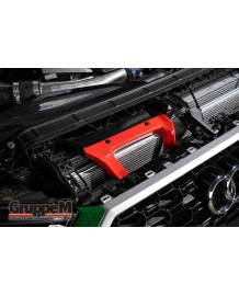Admission Carbone GruppeM pour AUDI RS4 RS5 B9 F5 2.9T (2017+)