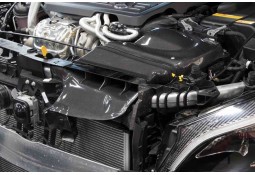 Admission Carbone GruppeM pour MERCEDES A45 AMG W176 CLA45 AMG C117 GLA45 AMG X156 (2013-2018)