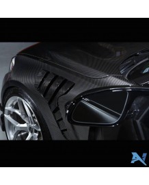 Ailes avant Carbone ALPHA-N pour BMW M2 + Competition F87