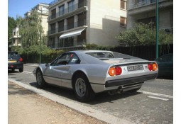 Echappement inox QUICKSILVER pour FERRARI 308 GTB GTS (1975-1977)- Silencieux 1 sortie