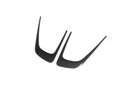 Prises d'air capot Carbone NOVITEC pour FERRARI 12 CILINDRI