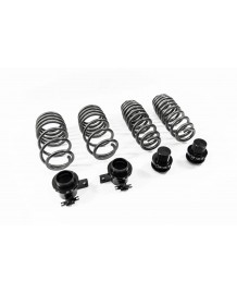 Ressorts courts réglables COBRA pour NISSAN GTR R35 (2007+)