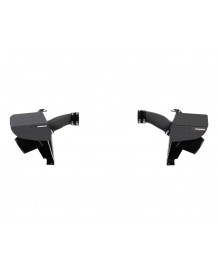 Admission Directe Carbone RAMAIR pour BMW M5 G90 G99 (2024+)