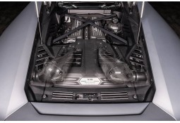 Admission Carbone EVENTURI pour LAMBORGHINI Huracan EVO STO PERFORMANTE Admission Carbone EVENTURI pour LAMBORGHINI Huracan EVO STO PERFORMANTE