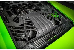 Admission Carbone EVENTURI pour Lamborghini Huracan
