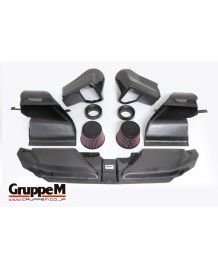 Admission Carbone GruppeM pour AUDI RS5 B8 4.2 V8 (2013-2017)