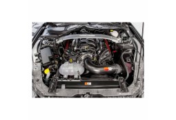 Kit Admission Directe K&N pour FORD MUSTANG GT350 / R 5.2 V8 Shelby (2016-2019)