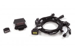 Boitier Anti-erreur Filtres à particules FAP pour PORSCHE 718 GT4 (XPF Emulator)