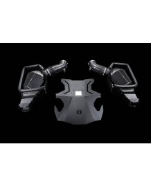 Admission d'air BLACKBOOST pour MERCEDES AMG GT GTS GTC GTR C190/R190 M178 (2015-2021)