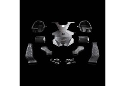 Admission d'air BLACKBOOST pour MERCEDES SL63 AMG R231 5.5l / SL500 SL550 R231 4.7l M157 V8 (2012-2020) Admission d'air BLACKBOOST pour MERCEDES SL63 AMG R231 5.5l / SL500 SL550 R231 4.7l M157 V8 (2012-2020)